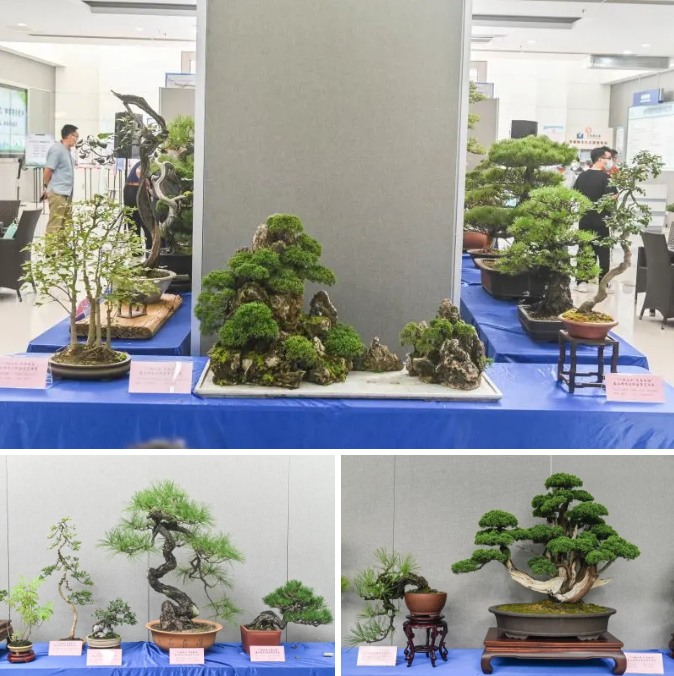 QQ截圖20201015150155.png