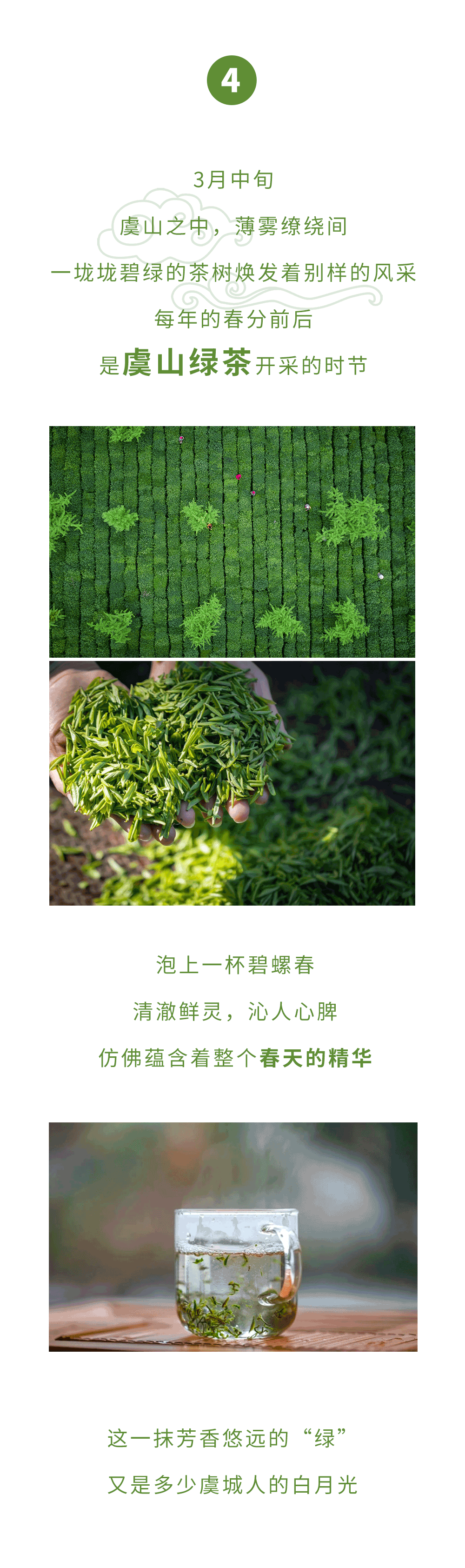 綠6.gif
